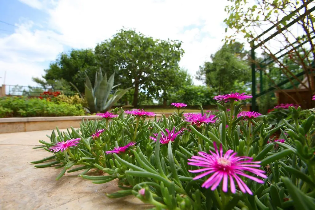 Apartments Neda Porec